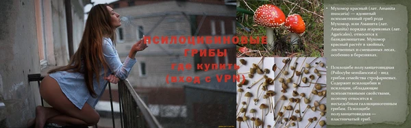 экстази Богородск
