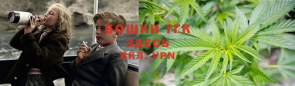 ALPHA PVP Богородицк