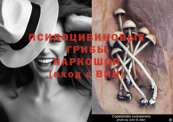 экстази Богородск