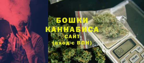 ALPHA PVP Богородицк