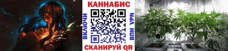 Конопля план  цены наркотик  MEGA ССЫЛКА  Бузулук 